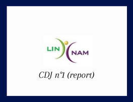 Lire la suite à propos de l’article CDJ n°1 (report) – Linnam